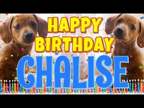 Happy Birthday Chalise! ( Funny Talking Dogs ) What Is Free On My Birthday