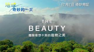 地球:奇妙的一天電影劇照1