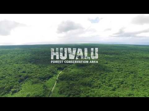 Huvalu Forest Conservation Area - Niue