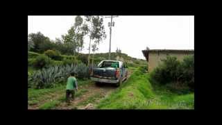 Flying high in the Andes