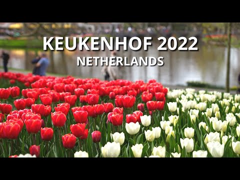 🇳🇱 Keukenhof 2022 - Netherlands   [4K]