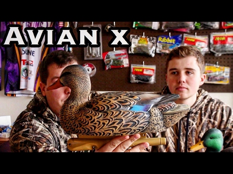 Avian X Mallard Decoys : Duck Review Series #1