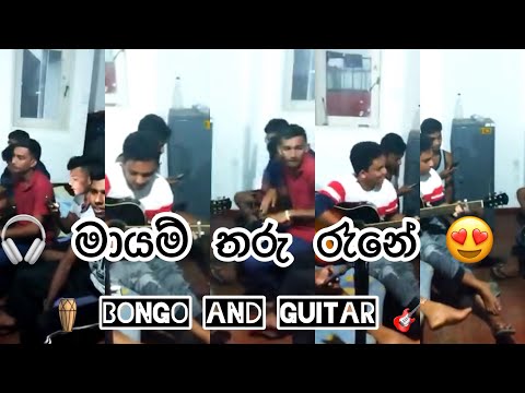 😍 මායම් තරු රෑනේ බැල්මෙන් මිදී 🎧 bongo and guitar 🎸 @bodima_official775   අපේ රහට /maayam tharu reene