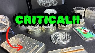 CRITICAL Silver!