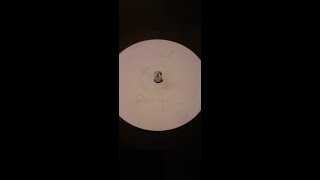 Jamie Bissmire  -  D M T