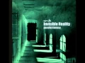 Invisible Reality - Incognito 