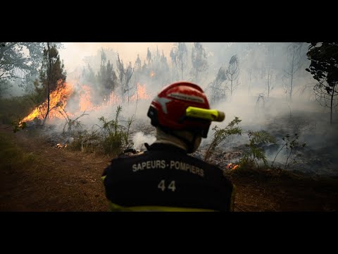 ncendies en France : quel est le profil des pyromanes ?