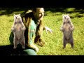 Super Villain Monologue 100 100 Bears