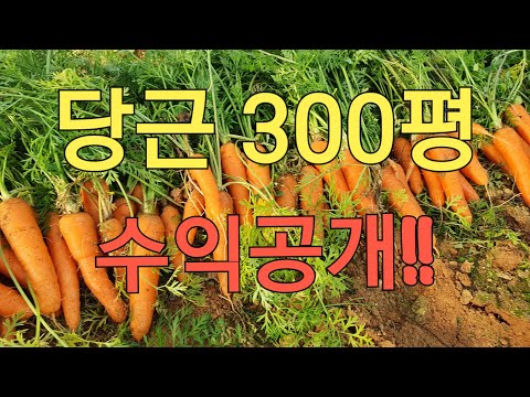 , title : '농한기 당근 300평 수익 공개!! #귀농귀촌 정보'
