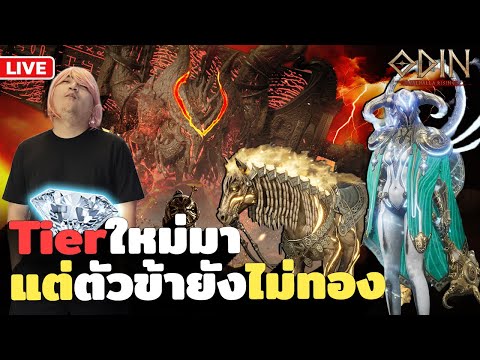 Tier ใหม่มาแล้ว ตัวส้ม ทองเรายังไม่มา | Odin: Valhalla Rising