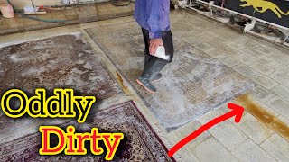 $01 vs $100,000 brown carpet! | The Hardest Rug of My Life!