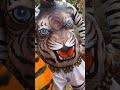 Funny Tiger Dance Pili Shorts Jailer Tigerdance
