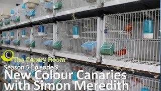 The Canary Room Season 5 Episode 9 - New Colour Canaries with Simon Meredith