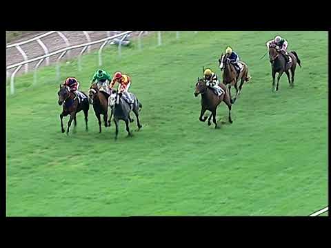 Napoli Galoppo 29/11/2021 - 1ª corsa