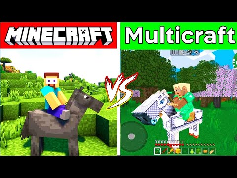 Minecraft vs Multicraft