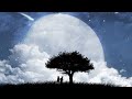 Veer Zaara Do Pal Instrumental Music Longest Version Deep Sleep Relaxing Music