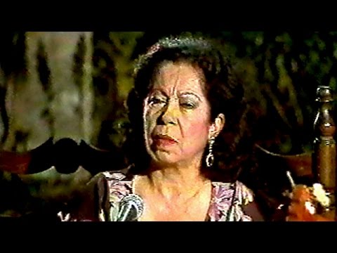Fernanda de Utrera (cante) & Juan Habichuela (toque) - por Solea 1984 / CC English, Español