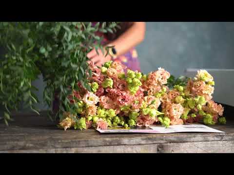 Lisianthus "Alissa" - Subscription Flowers by Arena Flowers