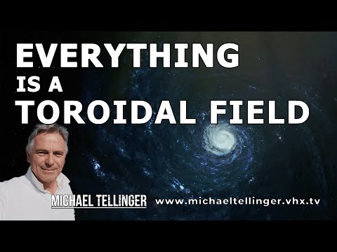 Everything Is A Toroidal Field