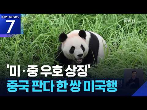 ‘미중 우호 상징’ 중국 판다 한 쌍 미국행 / KBS 2026.09.27.