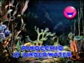 17 The Sea Magic English Disney