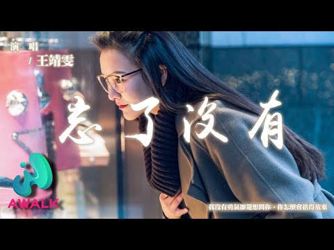 wang jing wen bu pang - wang le mei you【Pinyin Lyrics】