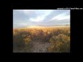 Skinshape Oracolo 2015 Full Album Psychedelicrock Triphop Alternative Funk Soul World