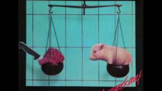 Toxoplasma - Fernsehn (lyrics, songtext)