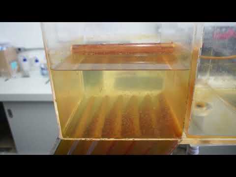 High rate settling tank - How it woks ! (2/2)