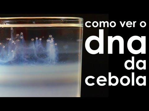 Como ver o DNA da cebola (EXPERIÊNCIA) Video