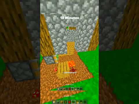 Minecraft Insane Trap Time-lapse
