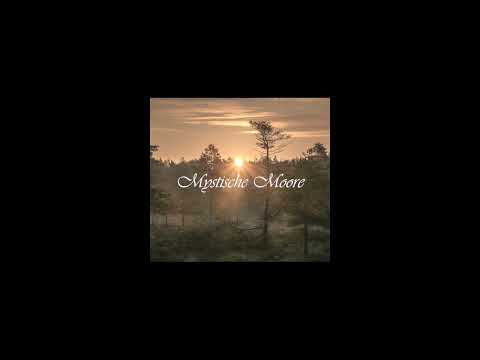 Mystische Moore und ihre Legenden in Bayern - mit Musik von Markus Stock