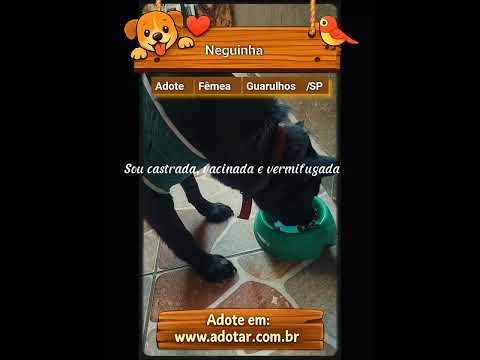 Vídeo de Neguinha