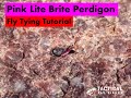 Pink Lite Brite Perdigon Fly Tying Tutorial