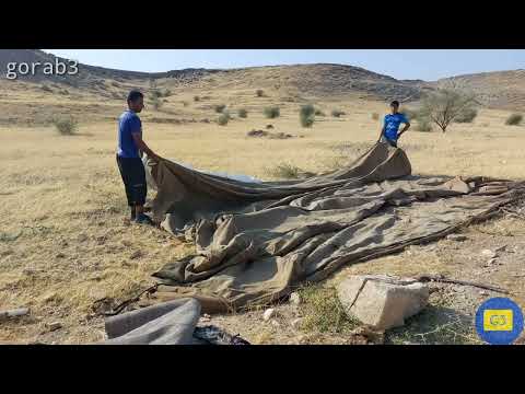 Set up a black tent_nomadic lifestyle of iran