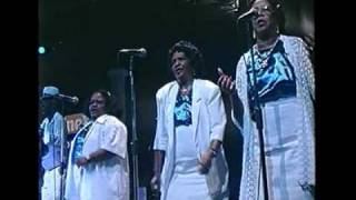 Paulinho da Viola e convidados - Foi um rio que passou em minha vida - Heineken Concerts 94 - RJ