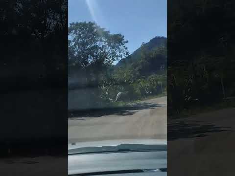 Estrada de liga Santa Leopoldina até Santa Teresa, passando pela cachoeira Véu de Noiva