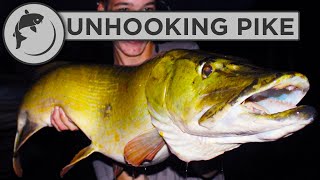 How To Handle and Unhook Pike