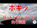 ロッドとTGベイトを失う瞬間（泣）　#Shorts
