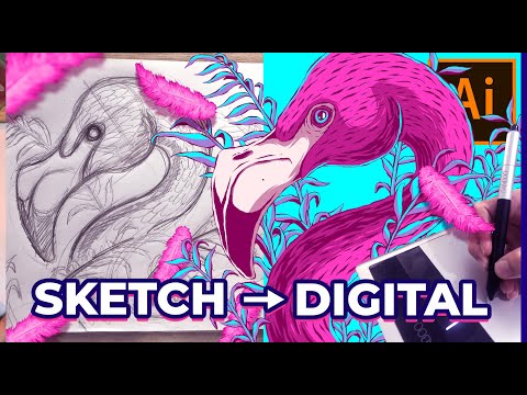 Flamingo Illustration - Drawing From Sketch and Vectoring in Adobe Illustrator