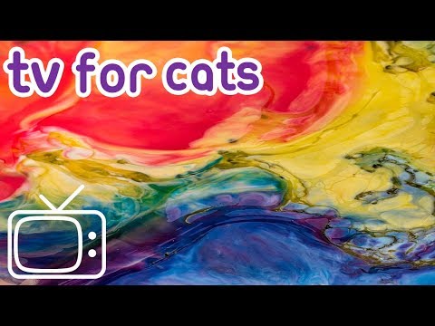Cat TV: 8 Hours of stimulating abstract footage to entertain your cat!