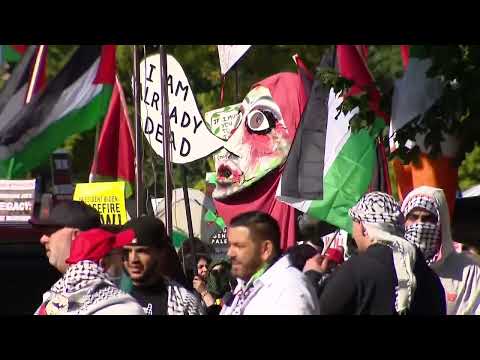 DNC Segment 2