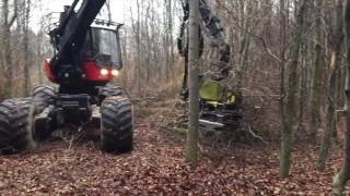 Bækkevang skovservice v/ preben andersen med Skovning/beskæring ved Aakirkeby