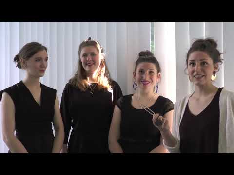 Musik entdecken - mit Of Cabbages And Kings: Wie findet ihr eure Töne?