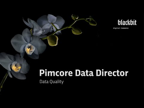 Pimcore Data Director: Data Quality (Automation, Workflows, Visualization)
