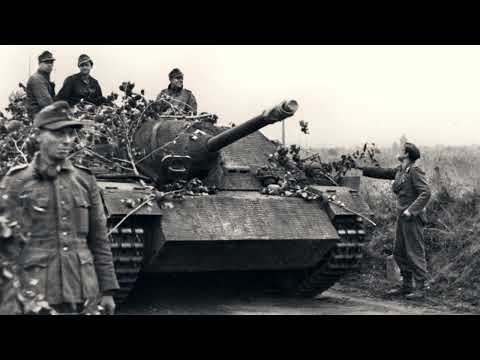 The Battle of the Falaise Pocket | Where the German Army Was Nearly Wiped Out