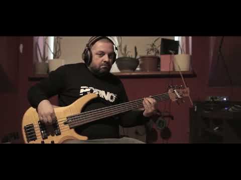 Bednarek i Anna Deko – Englishman In New York (bass cover)