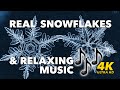 Real Snowflakes Relaxing Music 4K