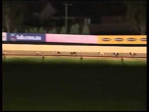 Solo Melbourne Cup heat 5.wmv