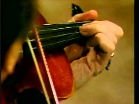 Learn To Play Irish Fiddle - Lesson Two: Reels, Jigs, & Gavottes